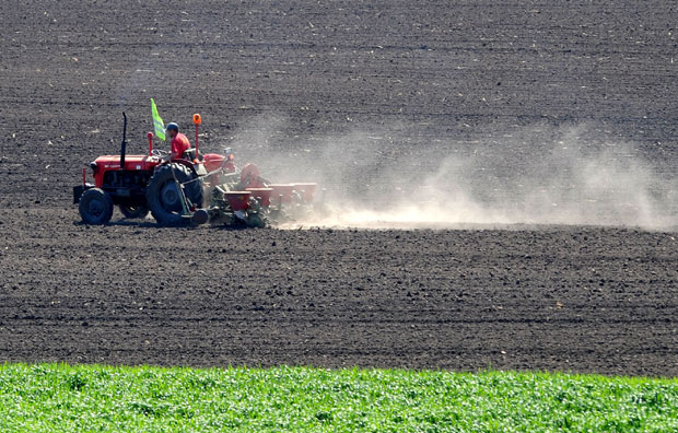 Соја исплативија од кукуруза